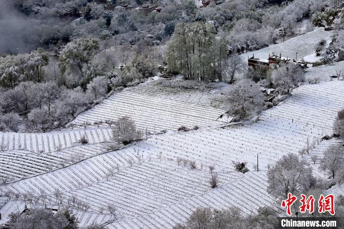雪后的高山田間如畫?！±钣腊?攝