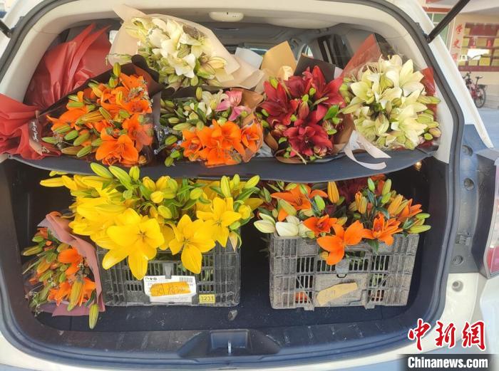 剛剛采摘下來(lái)的百合花。　壤塘縣委宣傳部供圖