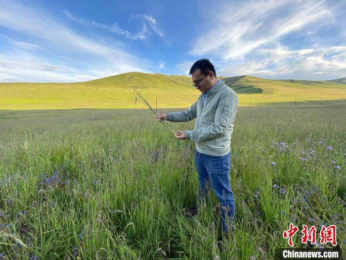青海達(dá)日“援青縣長(zhǎng)”：雪域高原生態(tài)、民生“并蒂花開”