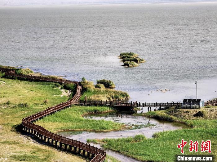 圖為都蘭湖國家濕地公園觀光棧道?！∑钤鲚?攝