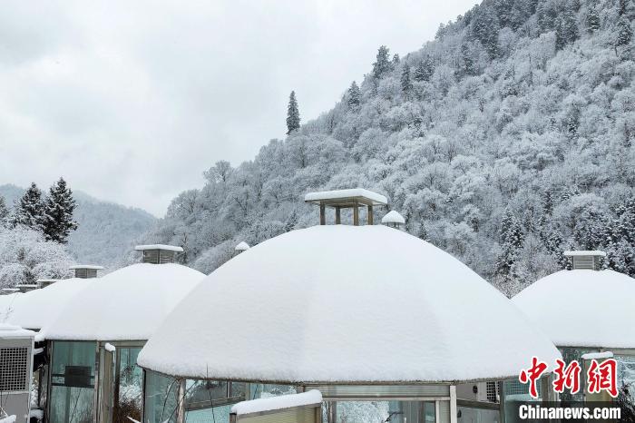 大熊貓國家公園王朗片區(qū)春雪如畫，宛若仙境?！×_春平 攝
