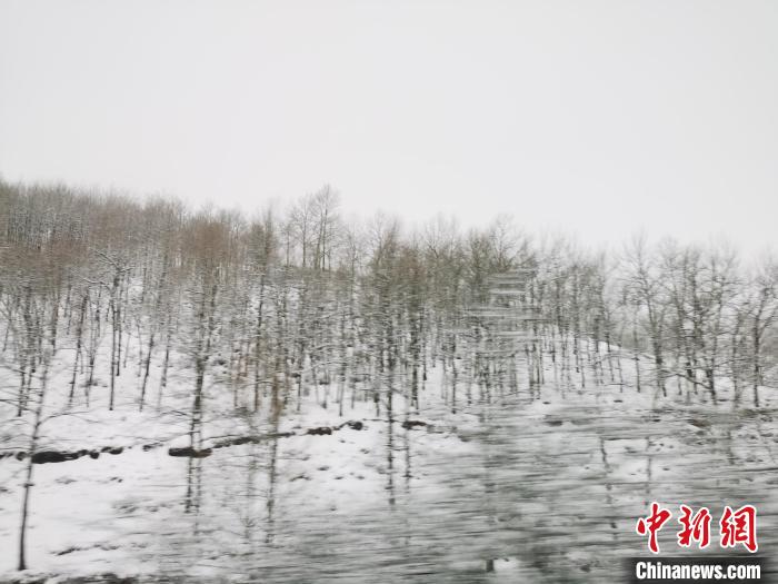 圖為青海青沙山區(qū)域被降雪覆蓋。　張?zhí)砀?攝