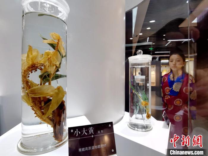 青海中藏醫(yī)藥發(fā)展提速：建設(shè)一批重點(diǎn)?？茖W(xué)科，推廣一批適宜技術(shù)