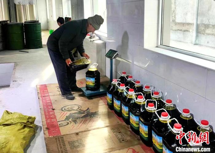 圖為高原油菜籽榨出的菜籽油?！埖么?攝