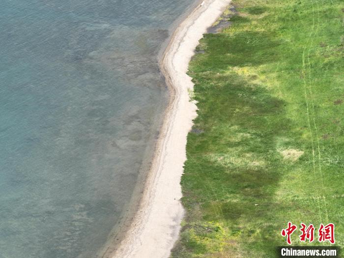 圖為航拍仲夏時節(jié)，青海湖畔綠茵如毯。　祁增蓓 攝