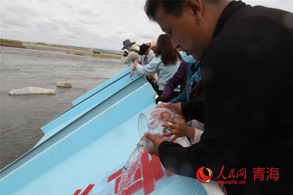 群眾放流青海湖裸鯉。人民網(wǎng) 陳明菊攝