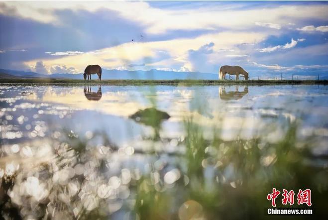 資料圖：那曲市申扎縣境內(nèi)的濕地。李雪峰 攝
