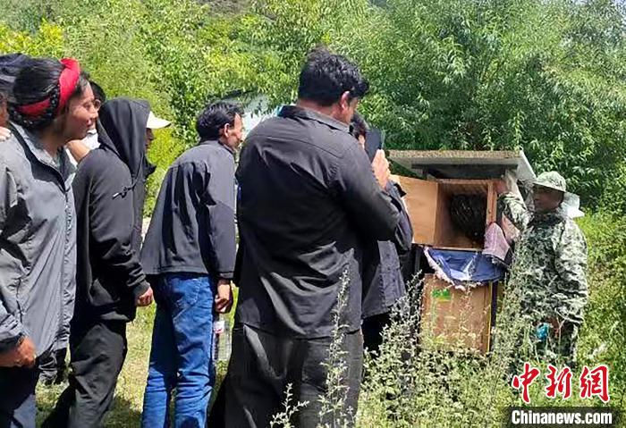 拉久西村村民學習養(yǎng)蜂工作流程和防范事項?！〔际忻⒖悼h委宣傳部供圖