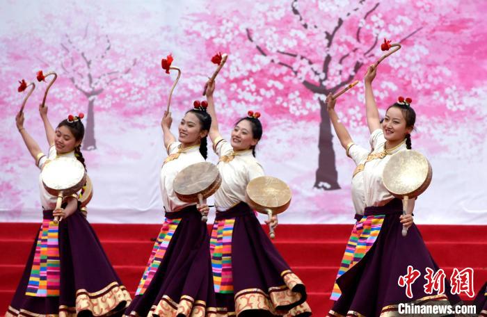 3月28日，西藏林芝第二十屆桃花旅游文化節(jié)開幕式上的文藝表演?！±盍?攝