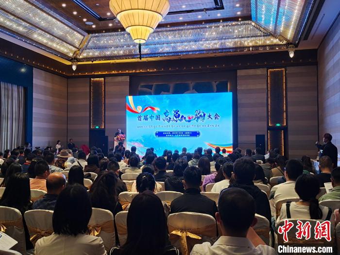 圖為首屆中國(guó)高原心胸大會(huì)現(xiàn)場(chǎng)。　頓旦旺姆 攝