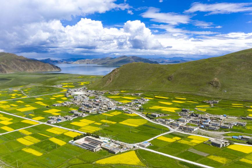 航拍道布龍村，依山傍水，阡陌縱橫。