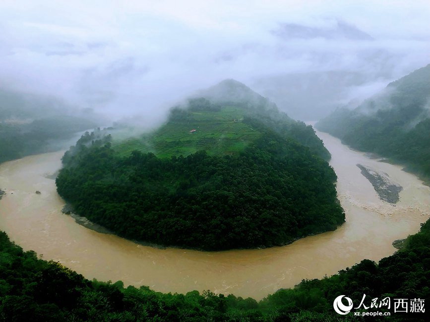 雅魯藏布江大峽谷蛇形拐彎處，山坡上種滿茶樹。