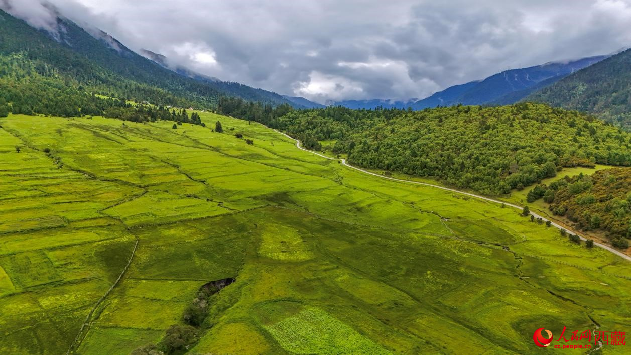 圖為航拍高山牧場鳥瞰圖。人民網(wǎng)記者 次仁羅布攝