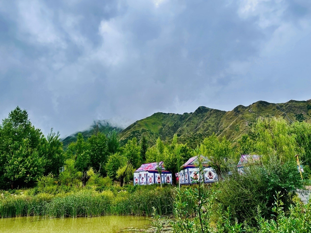 郁郁蔥蔥的南山公園。人民網(wǎng)記者 益西康珠攝