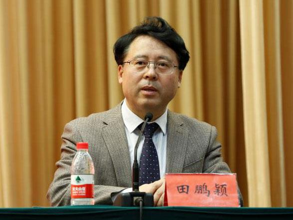 田鵬穎：投入其中、樂在其中、安身其中