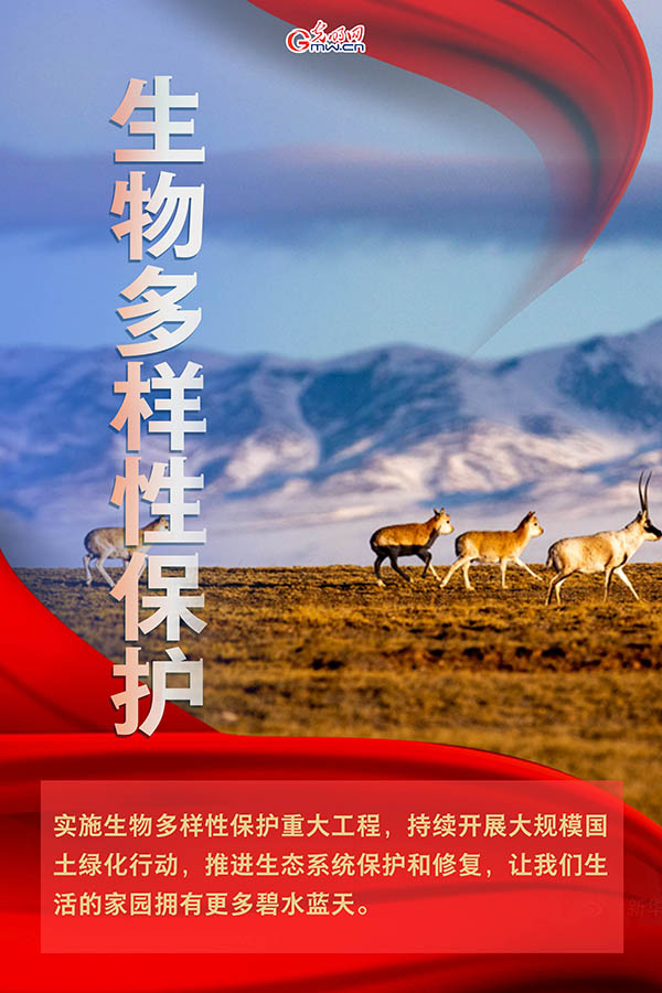 海報| 2021年政府工作報告，提到這些生態(tài)環(huán)保關(guān)鍵詞